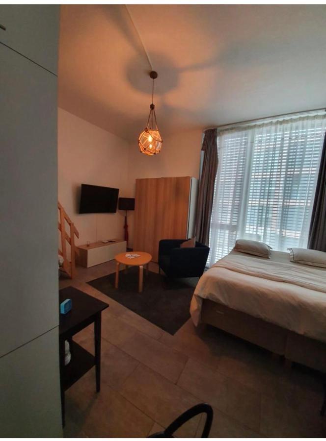 Le Mont-Sur-Lausanne Modern Studio With Mezzanine מראה חיצוני תמונה